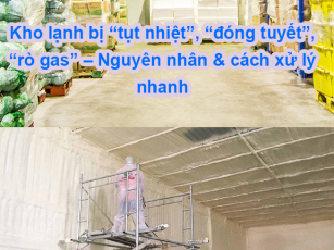 Kho lạnh bị “tụt nhiệt”, “đóng tuyết”, “rò gas” – Nguyên nhân & cách xử lý nhanh