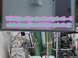 Tiết kiệm điện cho kho lạnh cũ – 5 cách đơn giản mà hiệu quả rõ rệt