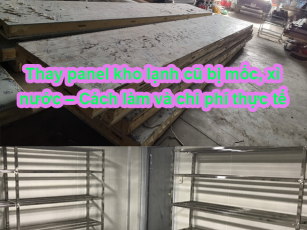 Thay panel kho lạnh cũ bị mốc, xì nước – Cách làm và chi phí thực tế