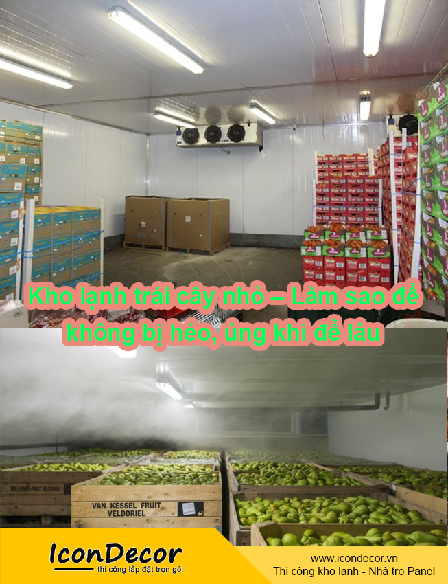 Kho lạnh trái cây nhỏ – Làm sao để không bị héo, úng khi để lâu