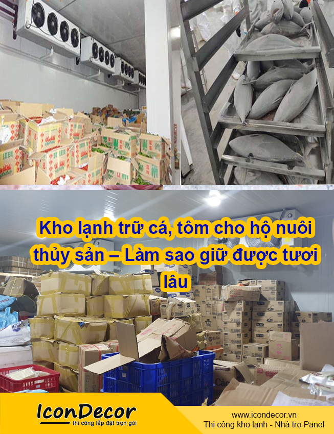 Kho lạnh trữ cá, tôm cho hộ nuôi thủy sản – Làm sao giữ được tươi lâu