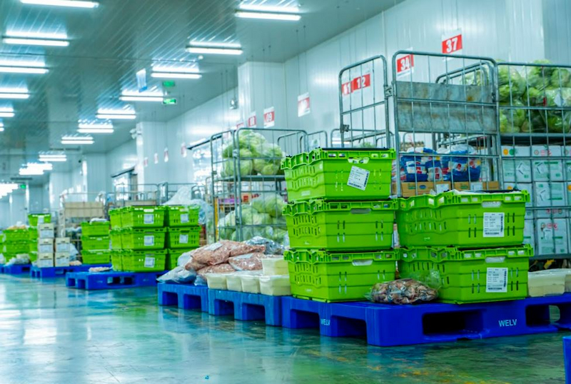 Giải pháp kho lạnh bảo quản nông sản, rau củ, trái cây