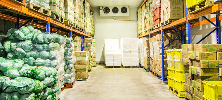 Giải pháp kho lạnh bảo quản thực phẩm chế biến xuất khẩu