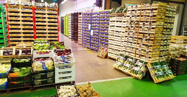 Giải pháp kho lạnh cho nông sản, thực phẩm chế biến, siêu thị